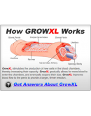 Grow XL 增大增粗保健品 （30颗装）